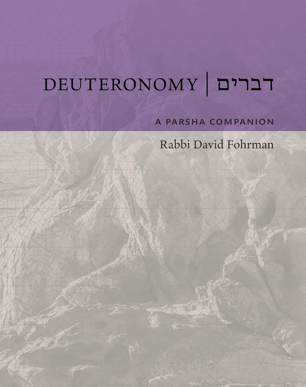 Deuteronomy: A Parsha Companion by Rabbi David Fohrman