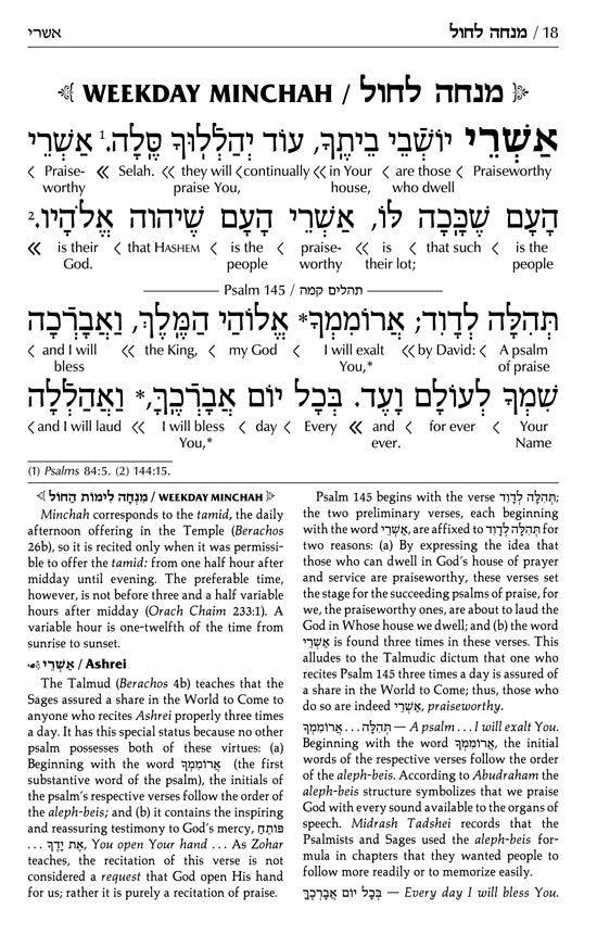 Siddur Interlinear Sabbath & Festivals Full Size Ashkenaz Schottenstein Edition (Hardcover)