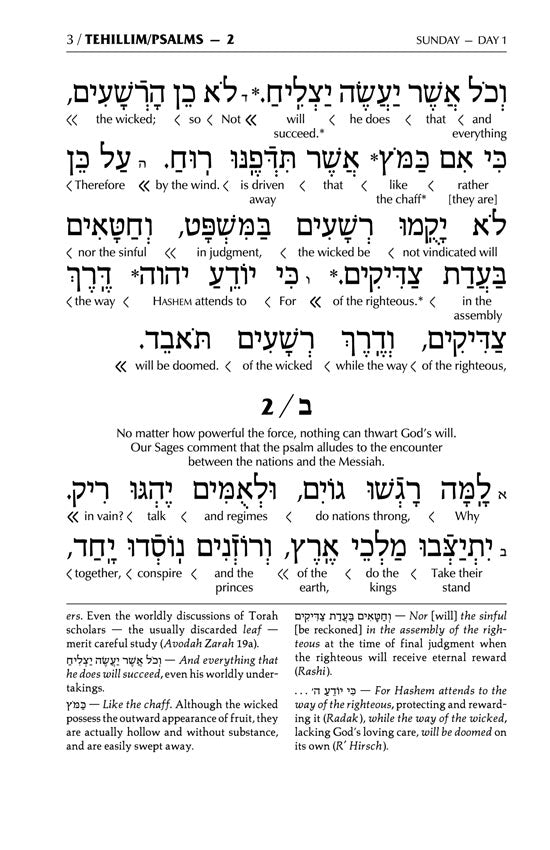 Interlinear Tehillim / Psalms Pocket Size, Hard Cover The Schottenstein edition (Hardcover)