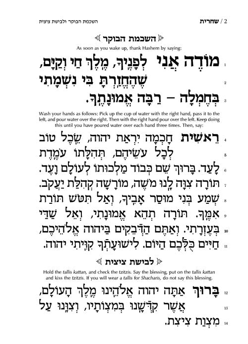 Siddur - Chinuch Chaim Shlomo - Ashkenaz (Full Size Ashkenaz)