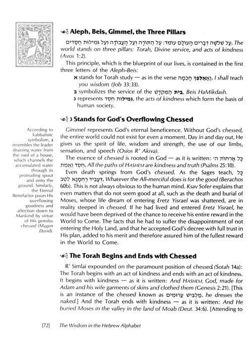 The Wisdom In The Hebrew Alphabet (Hardcover)