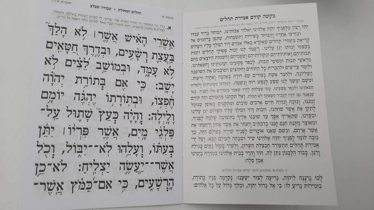 Tehillim Mechulak 28 Booklets Hebrew תהילים המחולק עבודה שבלב
