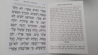 Tehillim Mechulak 28 Booklets Hebrew תהילים המחולק עבודה שבלב