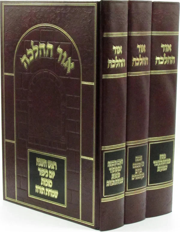 Or Hahalacha Moadim אור ההלכה על מועדים 3 כרכים ( Rav David Cohen )