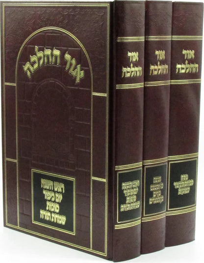 Or Hahalacha Moadim אור ההלכה על מועדים 3 כרכים ( Rav David Cohen )