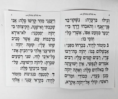 Tehillim Avodat Hashem Mechulak 28 Booklets Hebrew תהילים עבודת השם מחולק