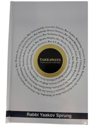 Takeaways-Insights From The Weekly Parsha, Rabbi Yaakov Sprung