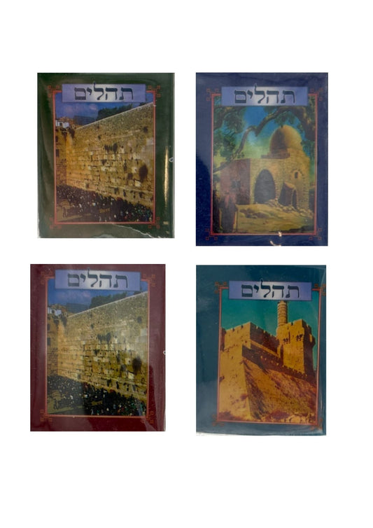 Tehillim Small-Soft Cover-In Bag