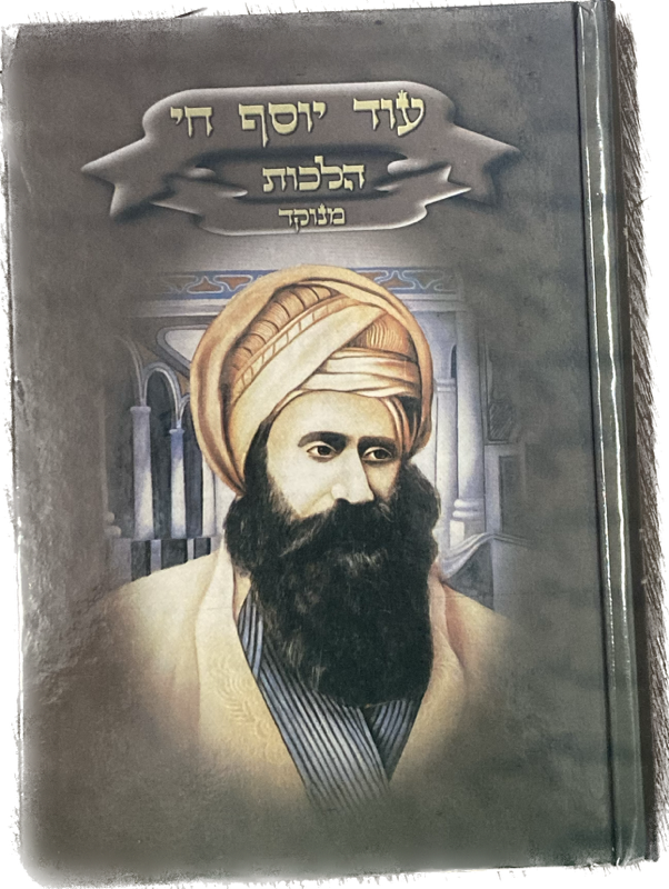 עוד יוסף חי הלכות