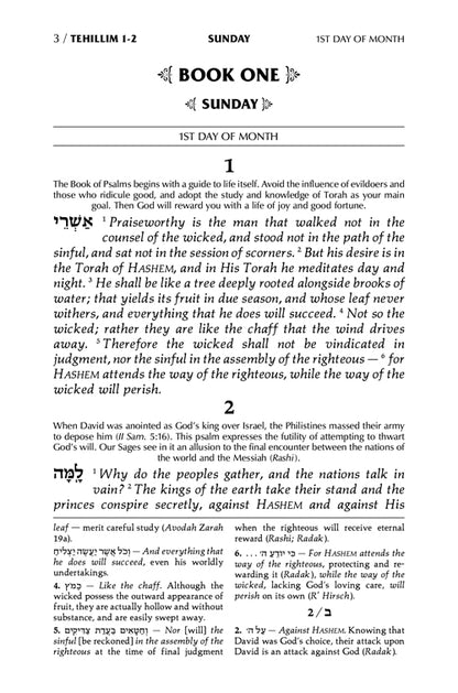 Tehillim / Psalms - 1 Vol - Full Size (Hardcover)