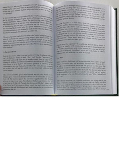 Etz Haim עץ חיים Shining Light on the Parasha Rabbi Sananas, Jack E. Rahmey