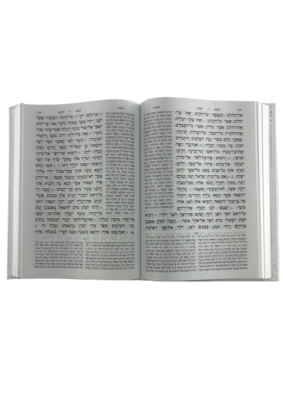 חמשה חומשי תורה עבודת השם Rashi Menukad 1 Vol.