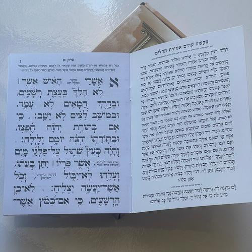 Tehillim Kavanat Halev Mechulak 27 Booklets Hebrew תהילים כונת הלב מחולק