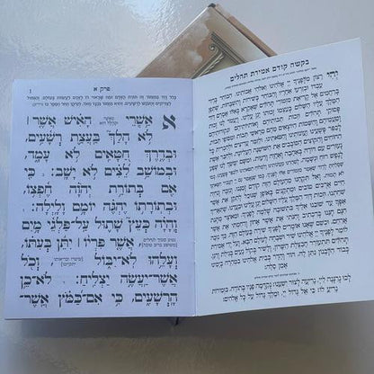Tehillim Kavanat Halev Mechulak 27 Booklets Hebrew תהילים כונת הלב מחולק