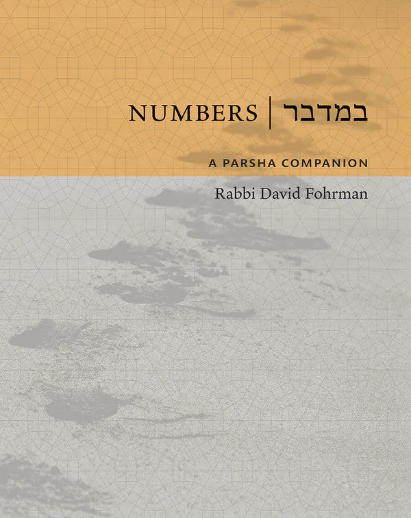 Numbers: A Parsha Companion by Rabbi David Fohrman