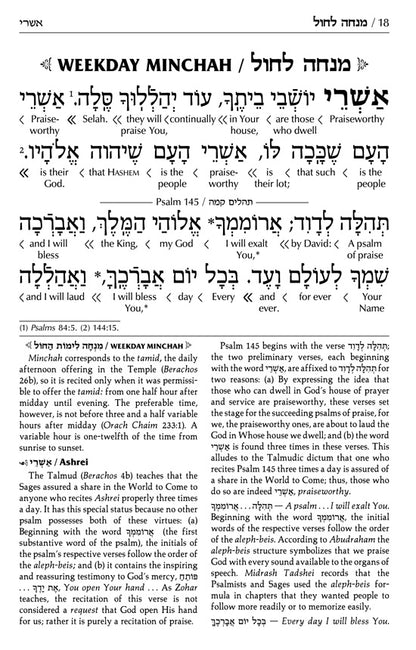 Siddur Interlinear Sabbath & Festivals Full Size Ashkenaz Schottenstein Edition (Hardcover)