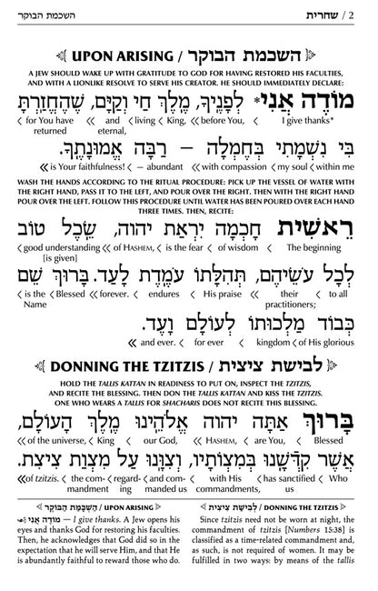 Siddur Interlinear Weekday Full Size - Ashkenaz - Schottenstein Edition (Full-Size Hardcover)