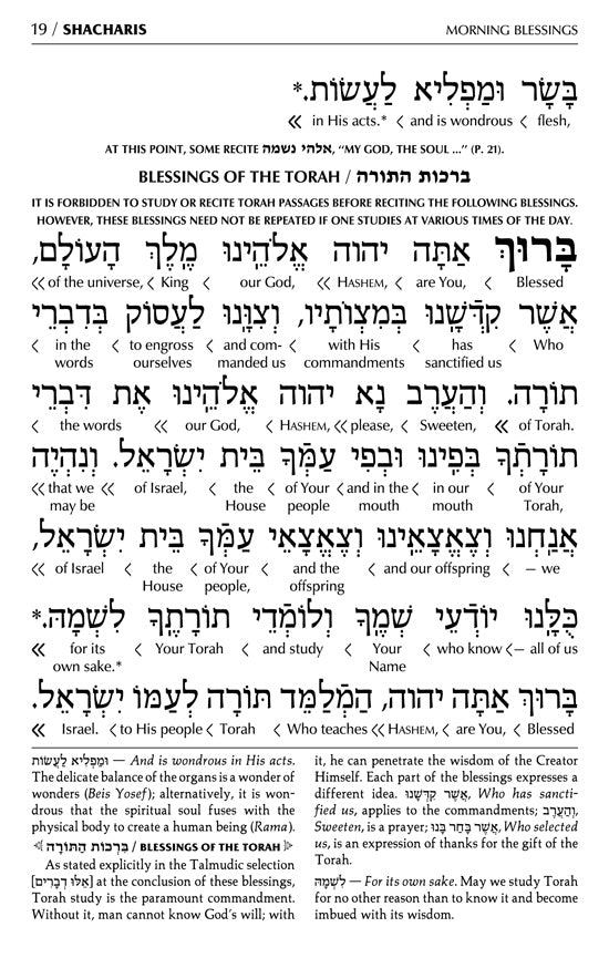 Siddur Interlinear Weekday Full Size - Ashkenaz - Schottenstein Edition (Full-Size Hardcover)