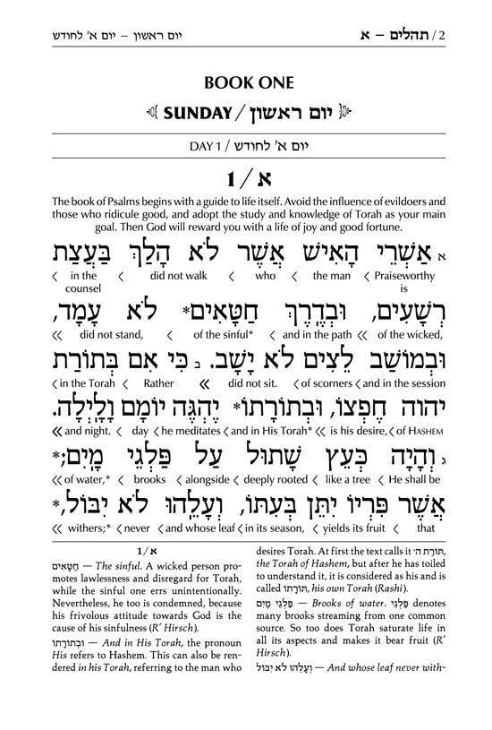 Interlinear Tehillim /Psalms Full Size The Schottenstein Edition (Hardcover)