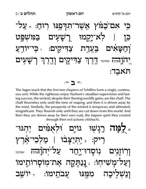 Hebrew Only, Large Type Tehillim with Taamin and Kavanot Hashem - Hasbani Family Edition (Grey)