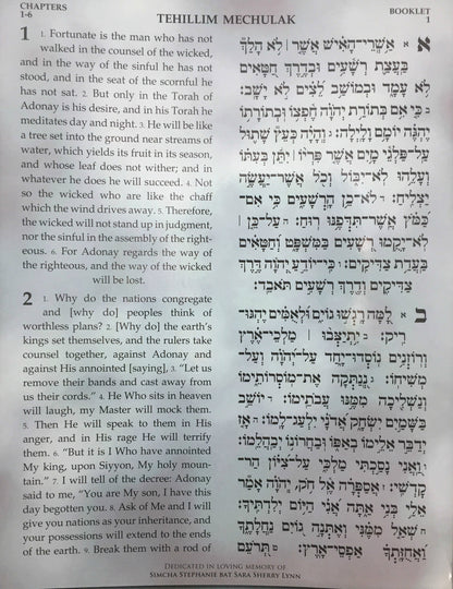 Large 9" x 12" H/E Tehillim Mechulak-- 39 vol.