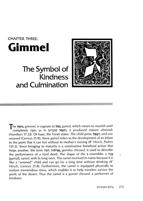 The Wisdom In The Hebrew Alphabet (Hardcover)