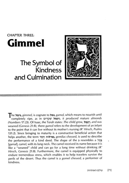 The Wisdom In The Hebrew Alphabet (Hardcover)
